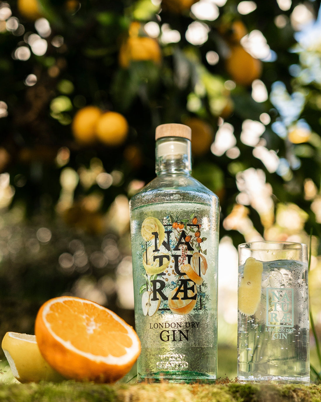 Abbinamento cibo-gin: l’arte sensoriale di un dialogo tra aromi