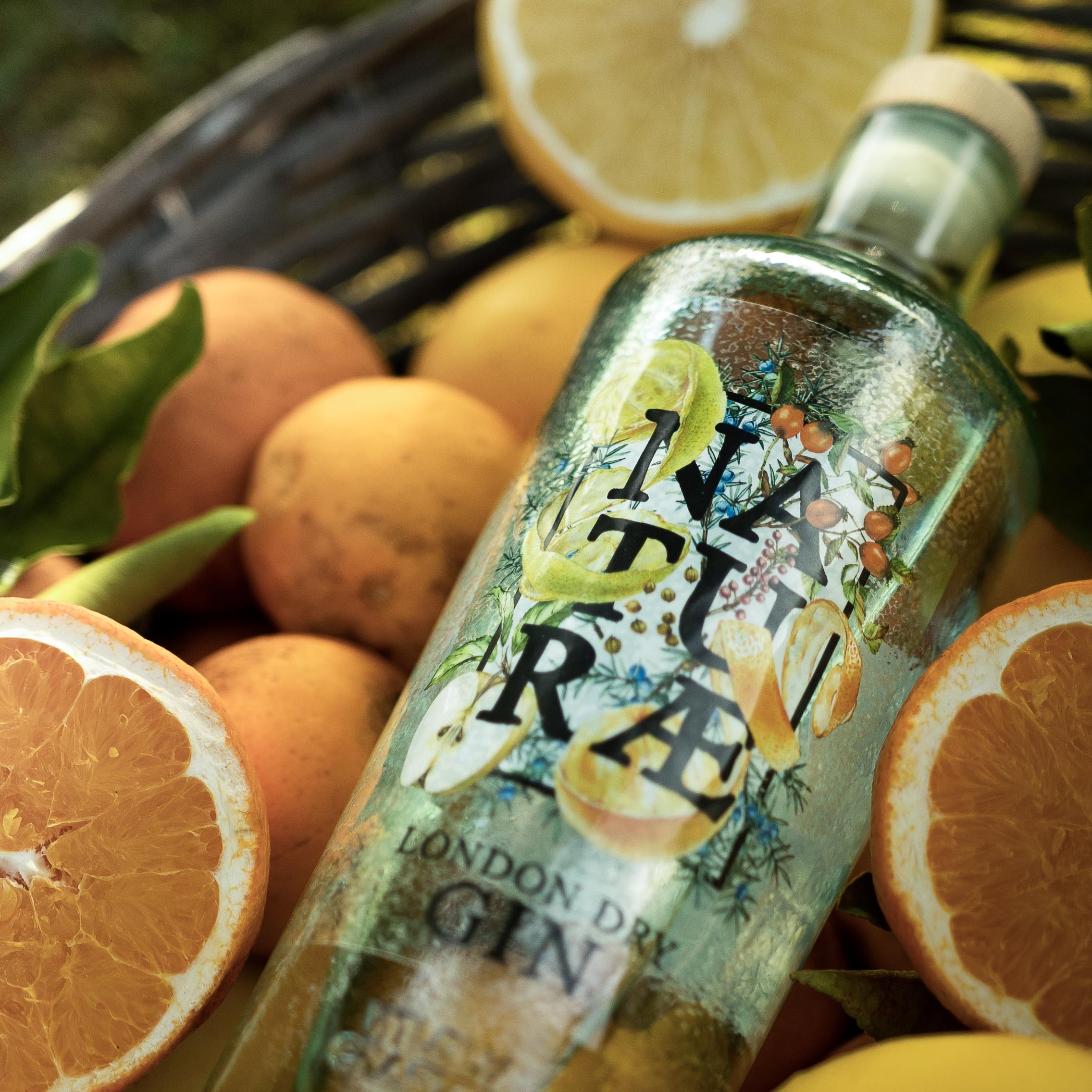 Agrumi italiani: l’anima botanica di Fructetum