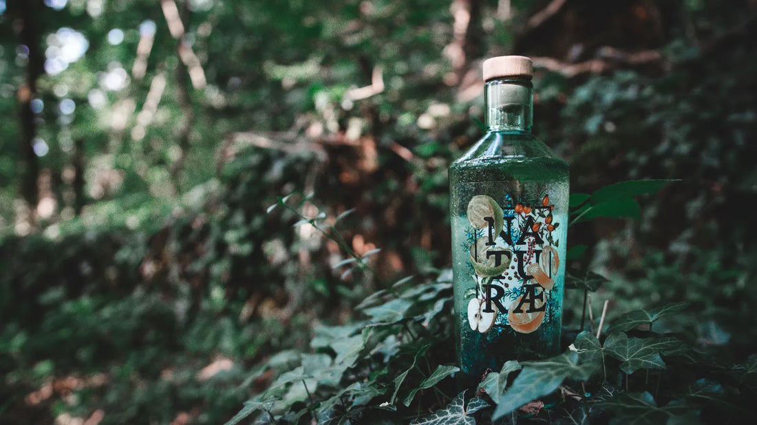 Fructetum di Naturæ Gin tra i migliori gin italiani secondo GQ Italia