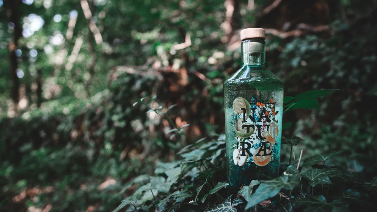 Fructetum di Naturæ Gin tra i migliori gin italiani secondo GQ Italia