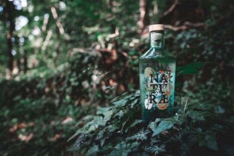 ANSA: Fructetum di Naturæ Gin premiato come Best Italian London Dry Gin
