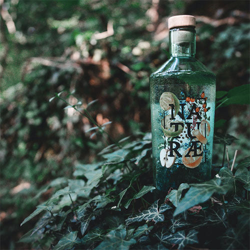 Internet Gourmet: Fructetum di Naturæ Gin, un grande London Dry Gin italiano