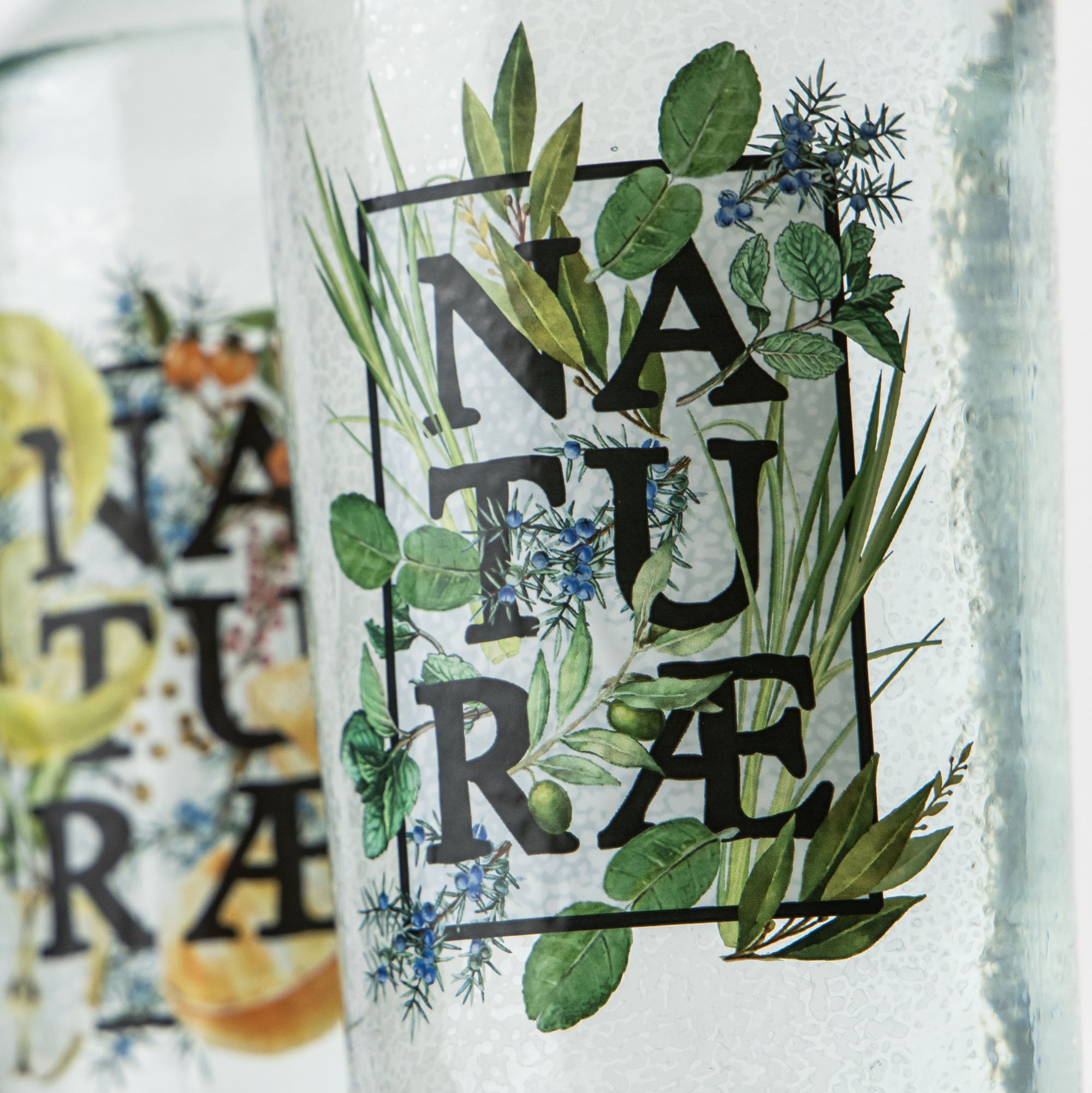 Bottiglia di Naturae Gin Herbarium, distilled gin artigianale con ginepro, menta, lemongrass e foglie d’ulivo, made in Italy. Dettaglio Etichetta 